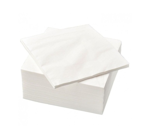 [00sp08] Serviette ouate 1 pli 30x30cm blanche - Carton de 5000 - paquet de 500 ex